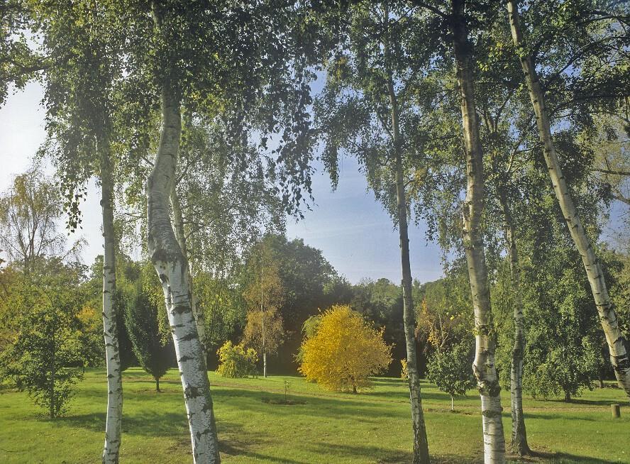 West Lodge Park Барнет Экстерьер фото
